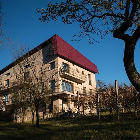 Panoramic Hotel Baia-Sprie Ngoại thất bức ảnh