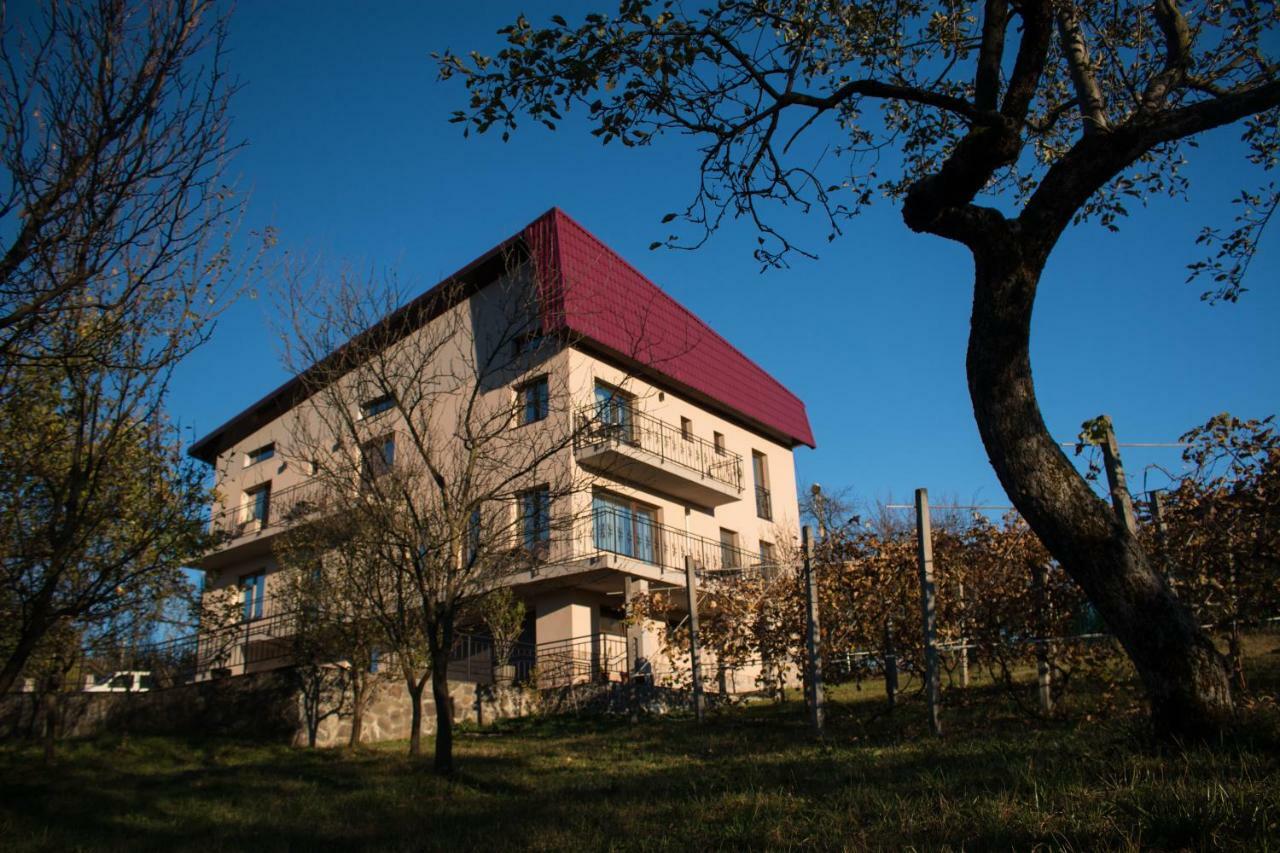 Panoramic Hotel Baia-Sprie Ngoại thất bức ảnh