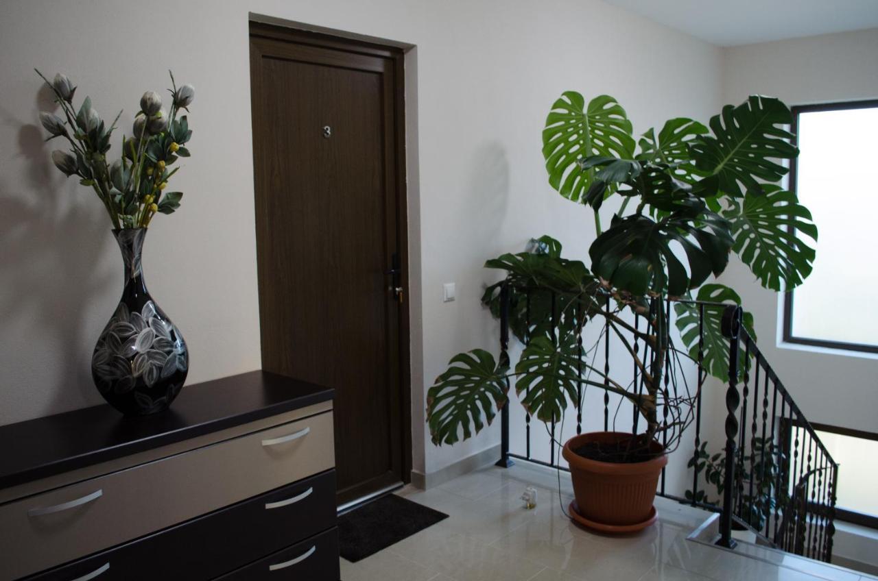 Panoramic Hotel Baia-Sprie Ngoại thất bức ảnh
